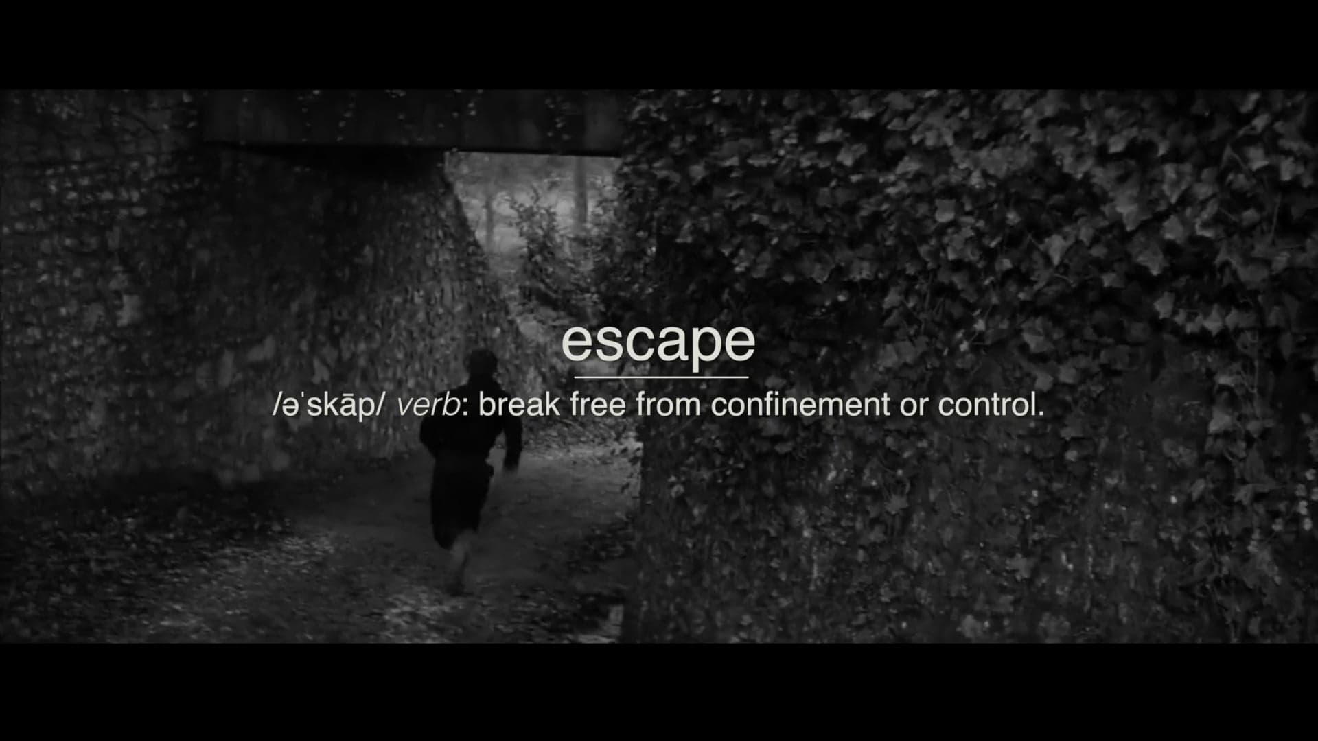 Escape Through Cinema: The 400 Blows